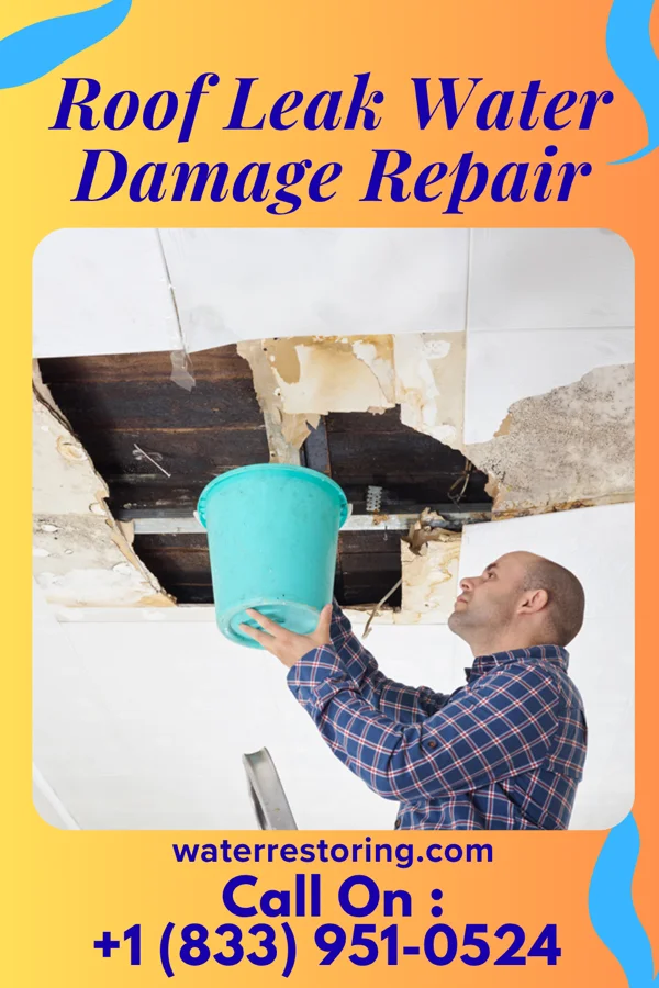 Roof Leak Water Damage Repair in Bock, MN