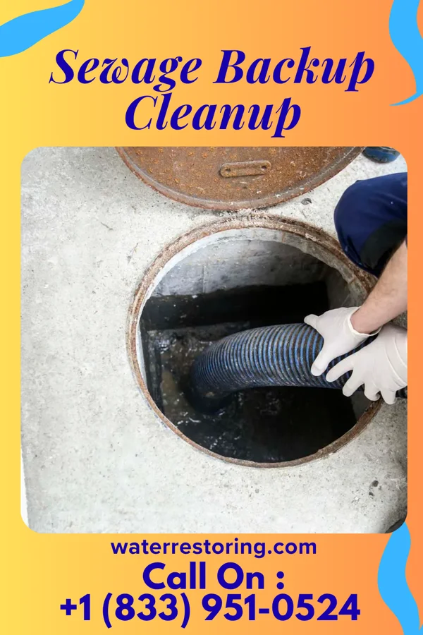 Sewage Backup Cleanup in Bock, MN