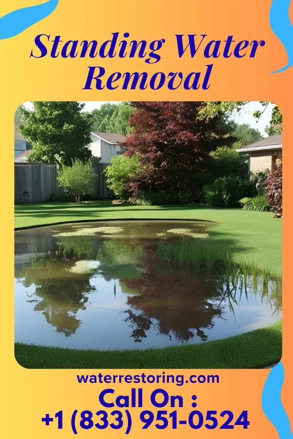Standing Water Removal in Bock, MN